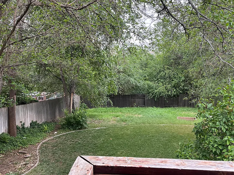 backyard view from deck stairs