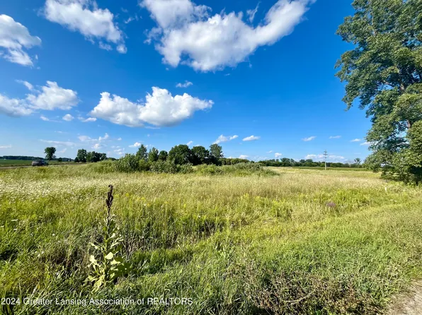 0 E Kinley Rd, Ovid, MI 48866
