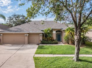 10045 Remington Dr, Riverview, FL 33578