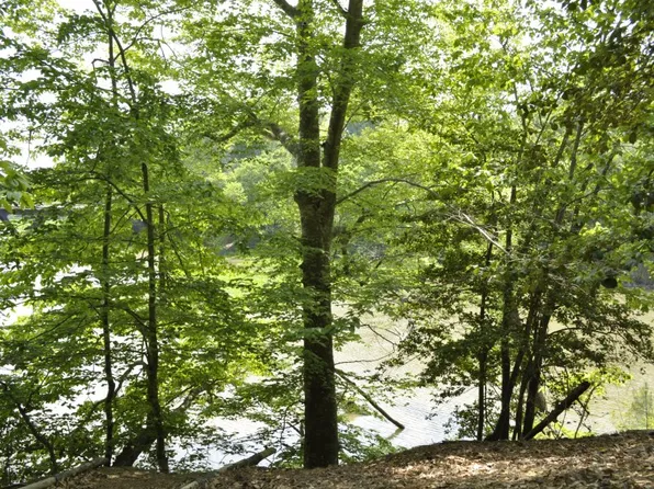 108 Colonel Philip Johnson, Williamsburg, VA 23188