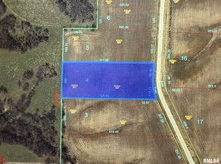 2440 Olof Krans Ave, Galva, IL 61434