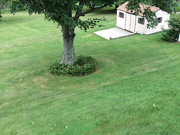 Front Yard from deck