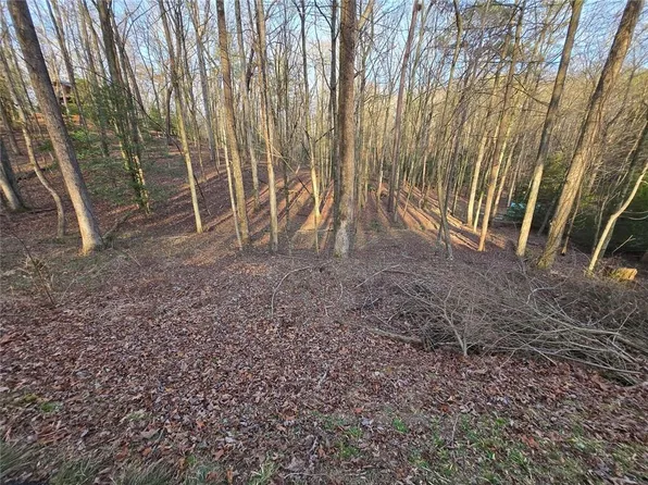 0 Chatawa Ct #201, Ellijay, GA 30540