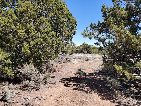 3rd image of 1435 N Foothill Dr #5-B