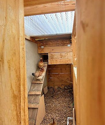 Fully enclosed chicken coop