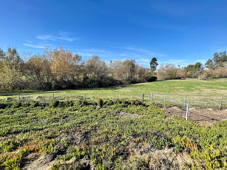 31238 Old River Rd — Photo 25