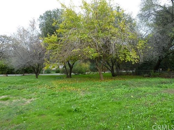 Front yard looking towards Skyline