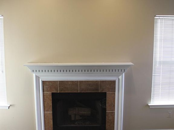 Wood burning fire place