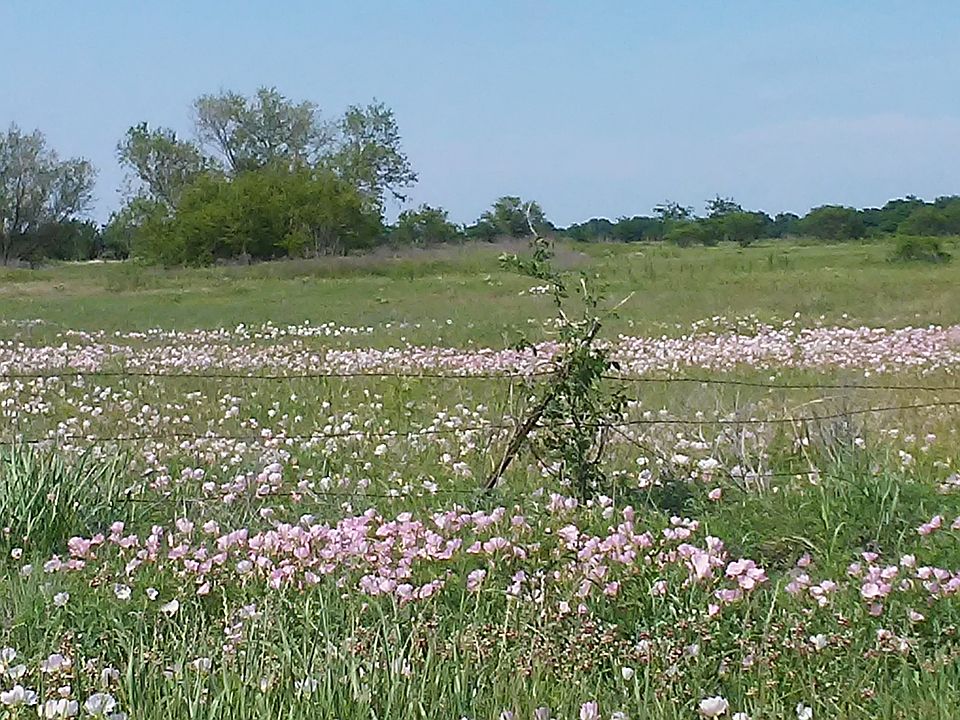 View from Private Road 2671