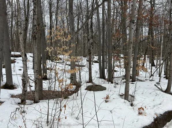 0 Tally Ho Winter Park Rd, Lake Of Bays, ON P1H 2J6