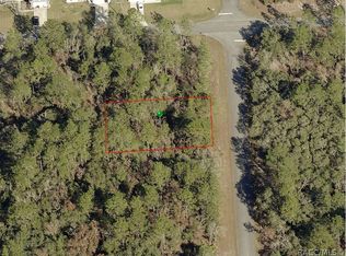 6448 N New Japan Ter, Citrus Springs, FL 34434