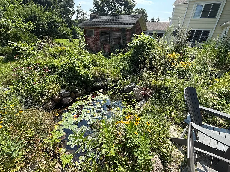 45800 W Ann Arbor Trl — Photo 30