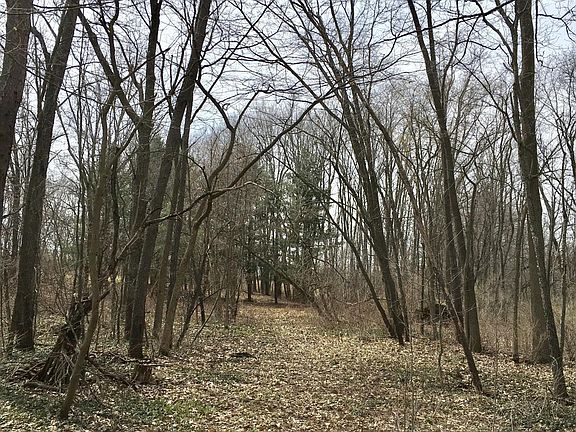 3rd image of Hickory Hill Ln