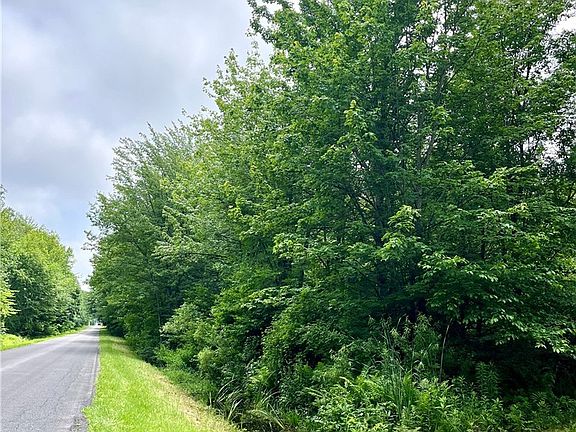 3rd image of 13657 McGibbon Rd Lot 47