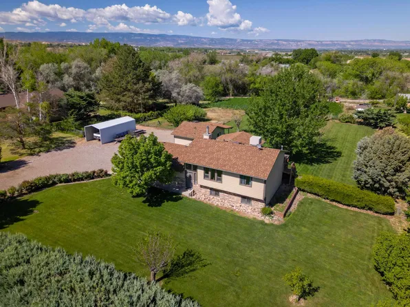 477 35th Rd, Palisade, CO 81526