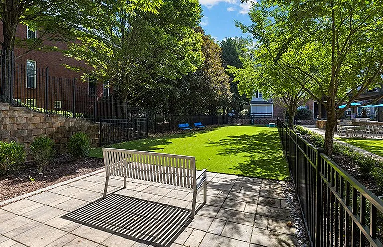 Park at The Hill — Photo 12