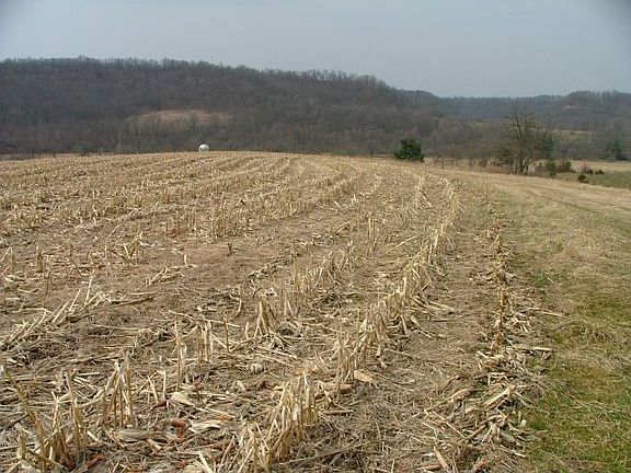 5th image of 13329 County Highway C