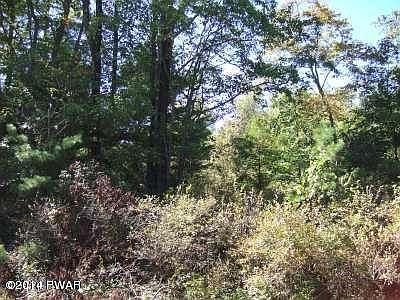 2nd image of 13 Fox Ridge Dr