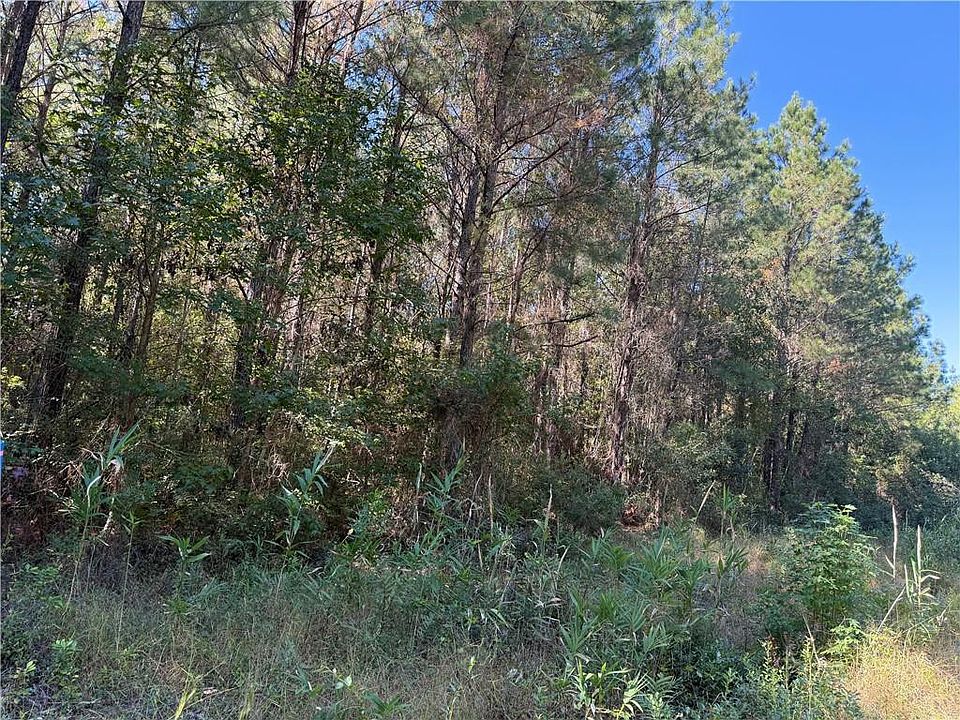 1st image of 6.69 Buck Ryals Rd NE