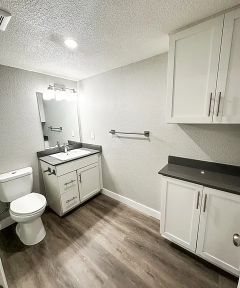 Junior 1 Bedroom Apartment's Bathroom