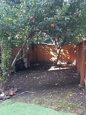 Rented by Halstead Real Estate | media 30