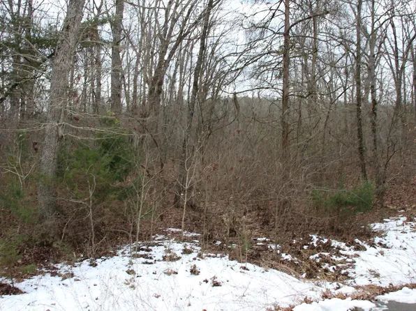 LOT 33 Elly Ln, Flippin, AR 72634