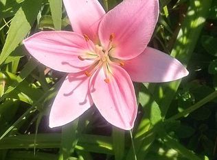 4977 Avery Rd, Dublin, OH 43016