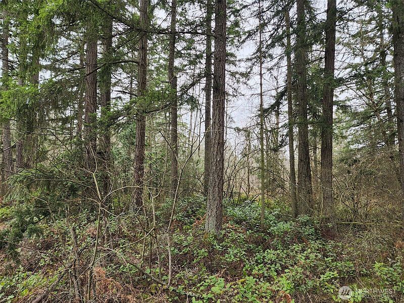 5th image of 0 126th Avenue E