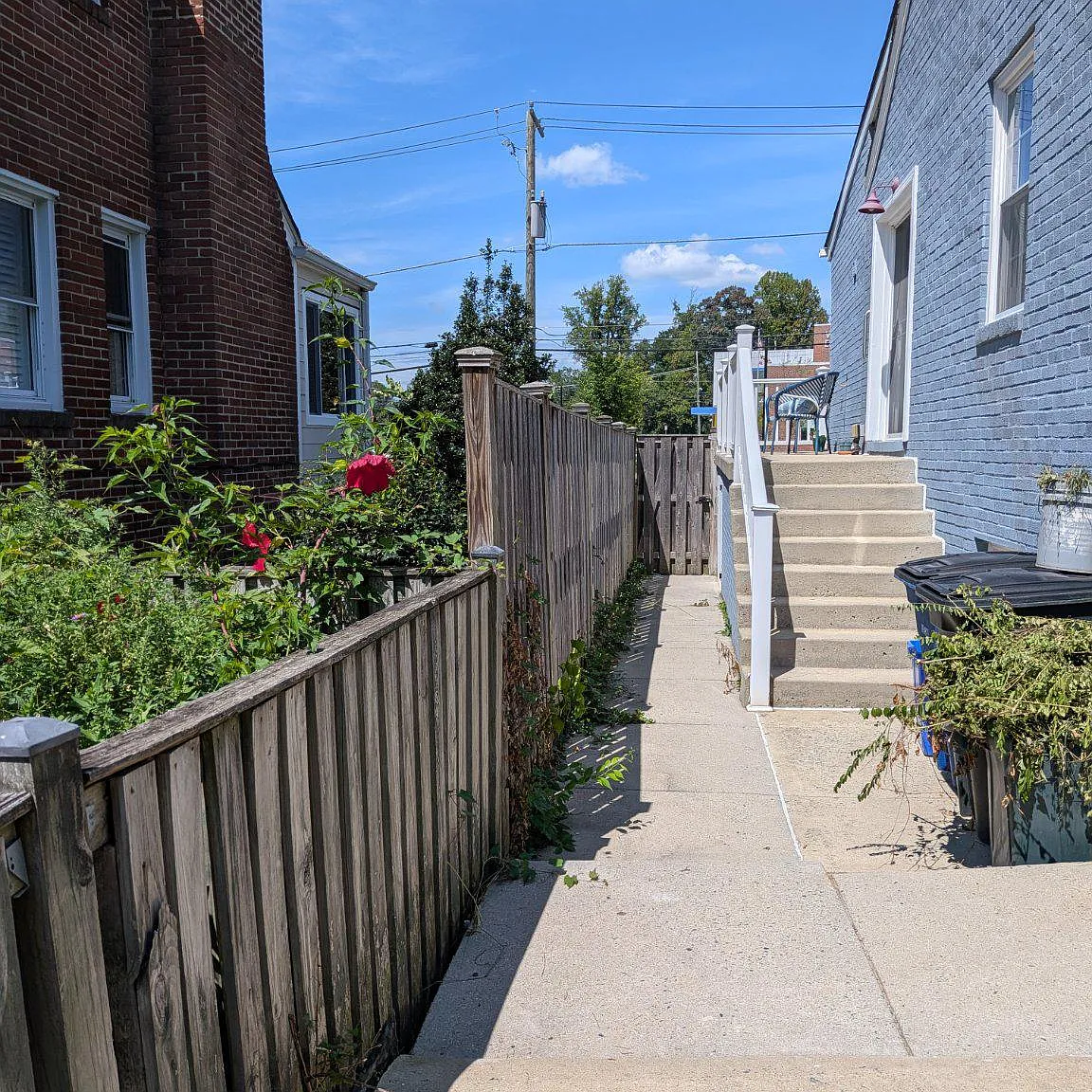 1 bed, 1.0 bath, 950 sqft, $1,900 — Photo 2