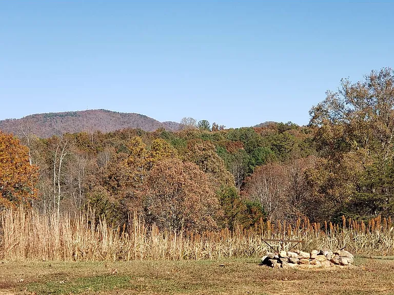 451 Cobb Mountain Rd — Photo 4