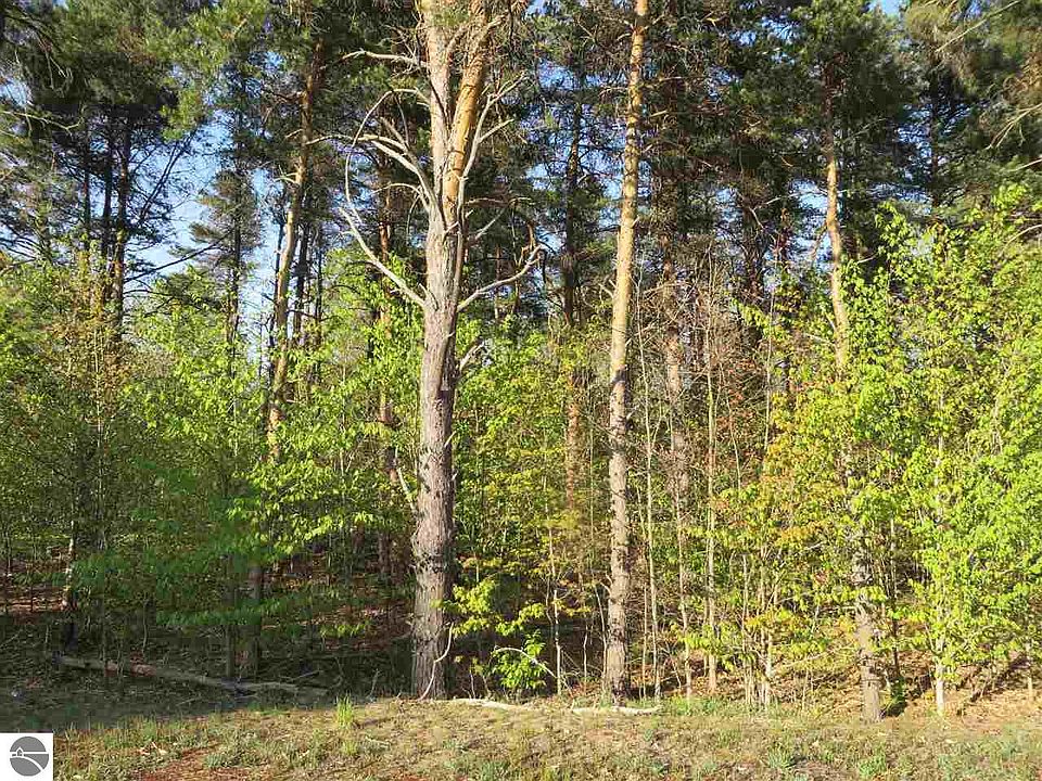 1st image of 85 Betsie Creek Dr #85