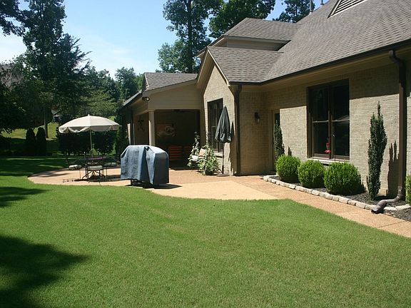 Back Yard Springtime