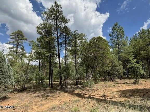 3rd image of 2341 Pinegrass Rd