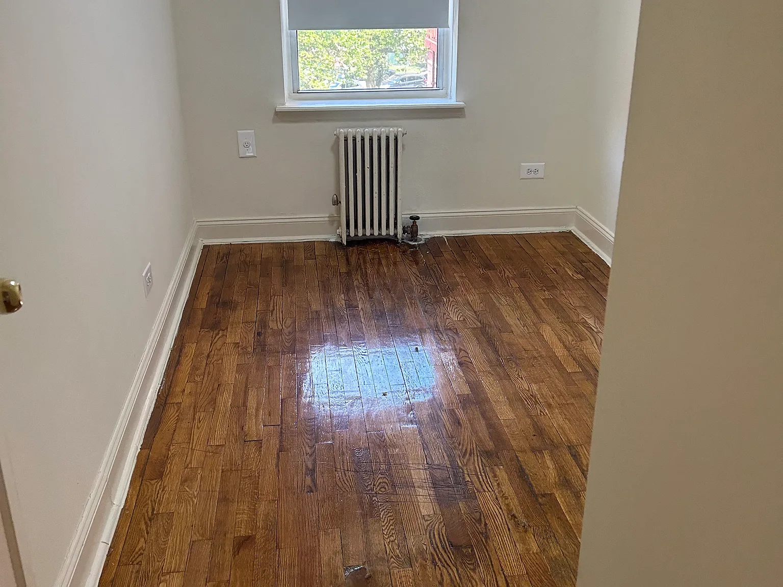 Studio, 375 sqft, $1,800 — Photo 3