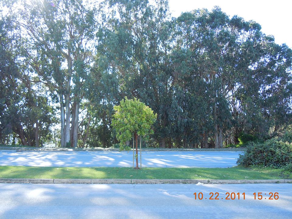 Across from the house
