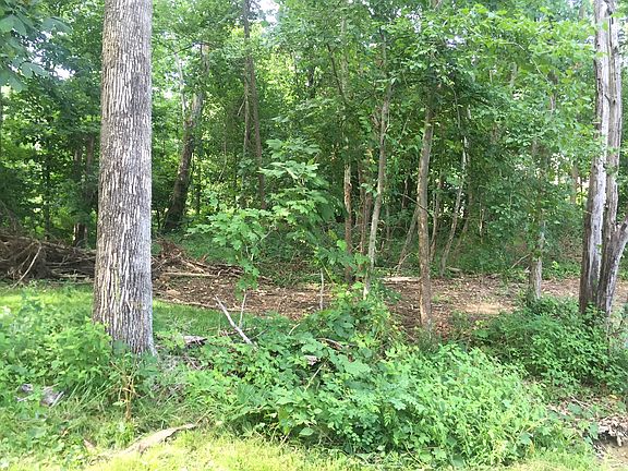Fully Wooded Lot