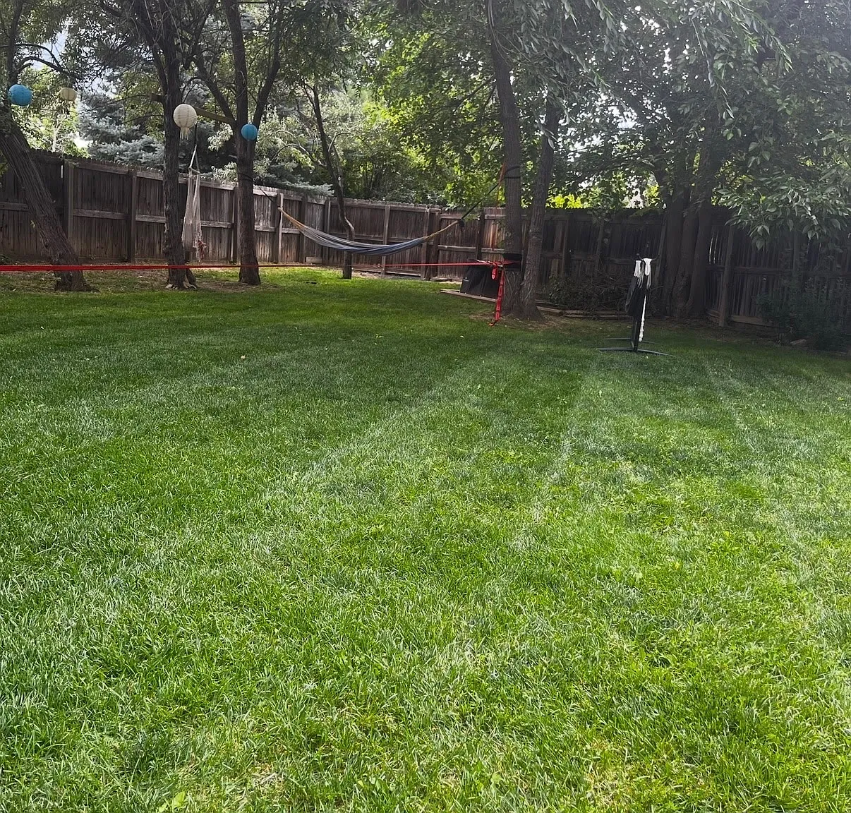 3 bed, 1339 sqft, $2,800 — Photo 4