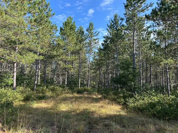 Near County Road Y, Gordon, WI 54838