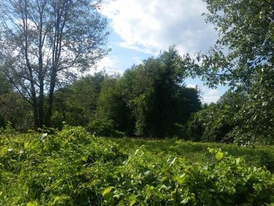 0 Victoria Ct, Oxford, MI, 48371