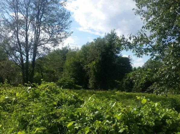 0 Victoria Ct, Oxford, MI 48371