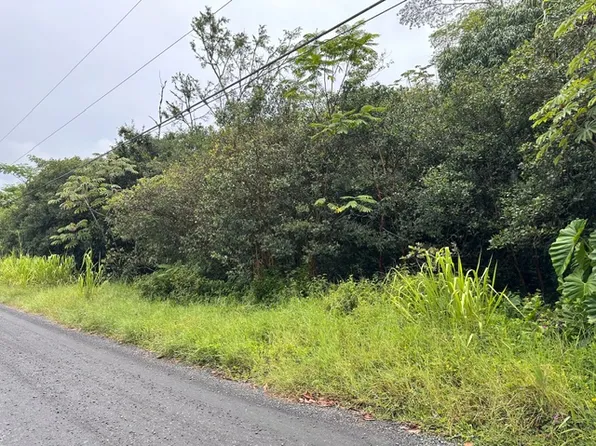 21st Ave Lot 1363, Keaau, HI 96749