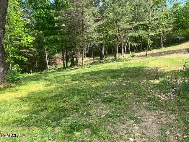 2nd image of 1311 Maple Hills Ln