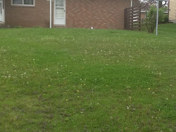4th image of 57 Betzstone Dr