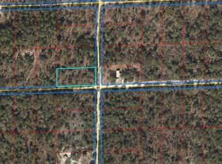 Tbd Ne 82nd Pl, Bronson, FL 32621