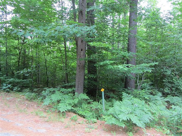 2nd image of Oak Hollow Rd