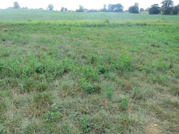 1803 Holland Rd, Scottsville, KY 42164