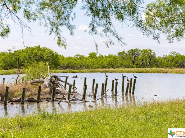 260 County Road 437, Whitsett, TX 78075