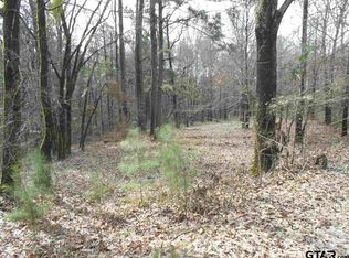 0 County Road 471, Tyler, TX 75706