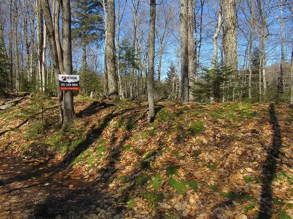 (undisclosed Address), Old Forge, NY 13420