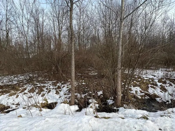 0 Springdale Dr, Hartford, MI 49057